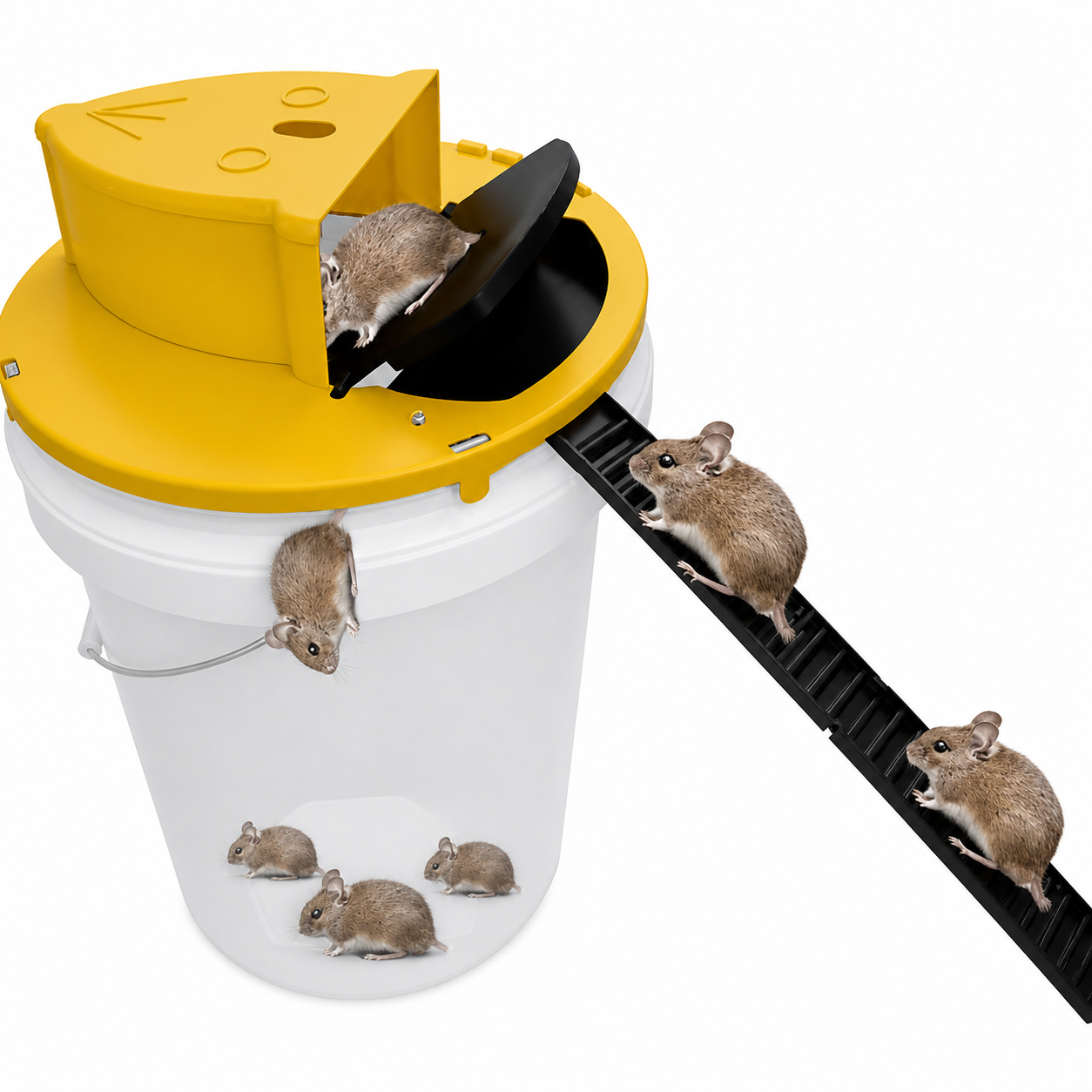Reusable Mouse Trap Bucket Lid