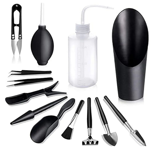 Succulent Plants Tool Set - Sprinting Home