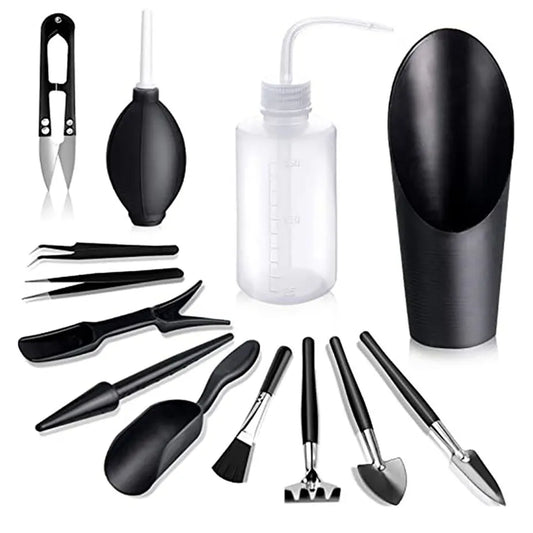 Succulent Plants Tool Set - Sprinting Home